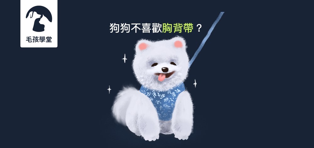 狗狗不喜歡胸背帶，怎樣都不肯穿怎麼辦？簡單兩個小技巧，練習幫狗狗穿胸背帶